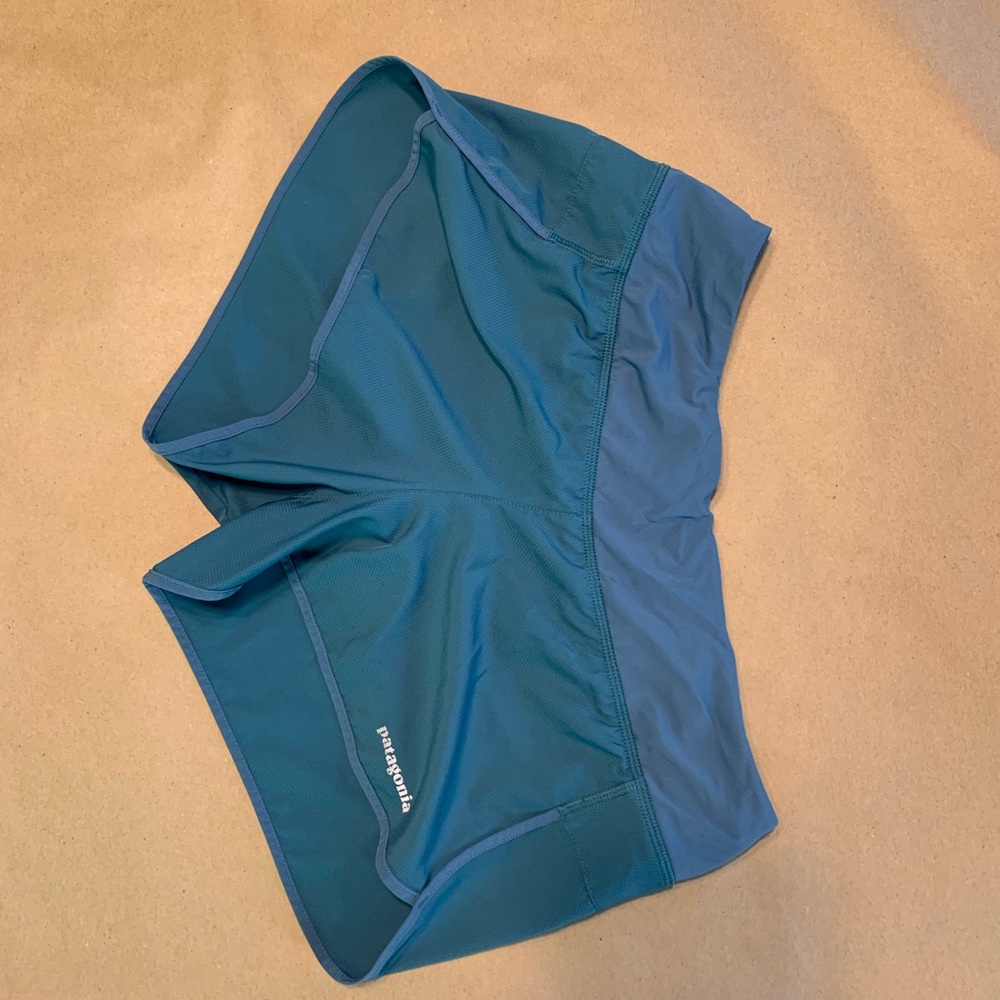 Patagonia Blue and Green Athletic Shorts